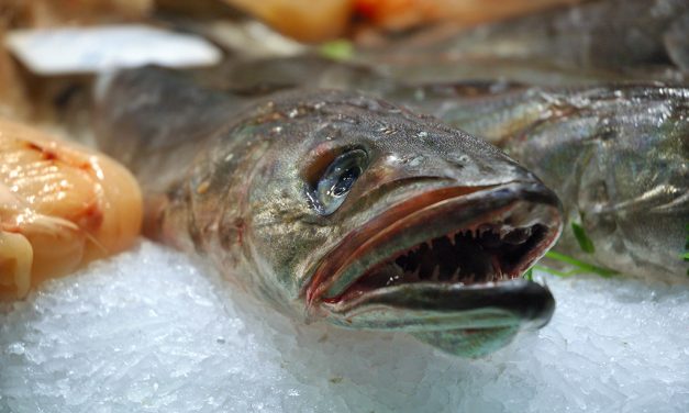 Propiedades nutritivas de la merluza