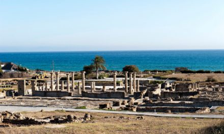 La historia del garum