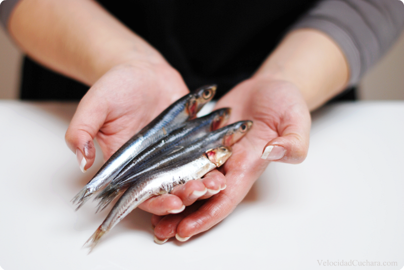 Boquerón en adobo, selección de la materia prima y comercialización.