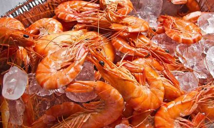 Beneficios para la salud de los langostinos