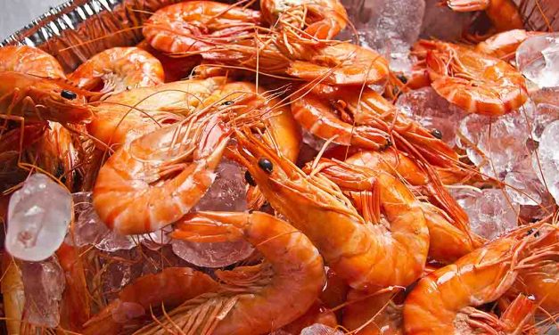 Beneficios para la salud de los langostinos