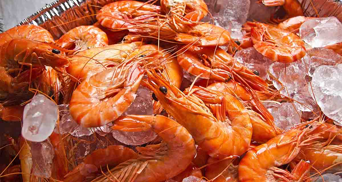 Beneficios para la salud de los langostinos