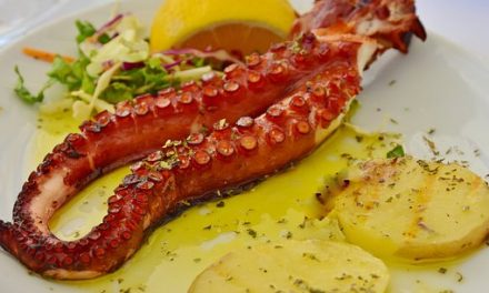 ¿QUÉ BENEFICIOS TIENE EL PULPO? ¡TOMA NOTA Y AÑÁDELO EN TU DIETA!